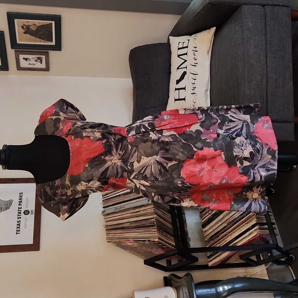 Banana Republic Mad Men Pink Floral Dress Size 2